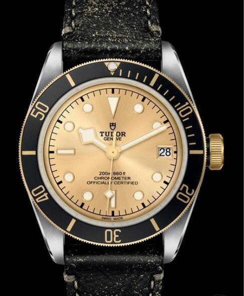 Replica Tudor Watch Heritage Black Bay Black S&G 79733N-0003