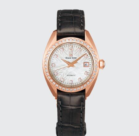 Best Grand Seiko Elegance Review Replica Watch for Sale Cheap Price STGK006